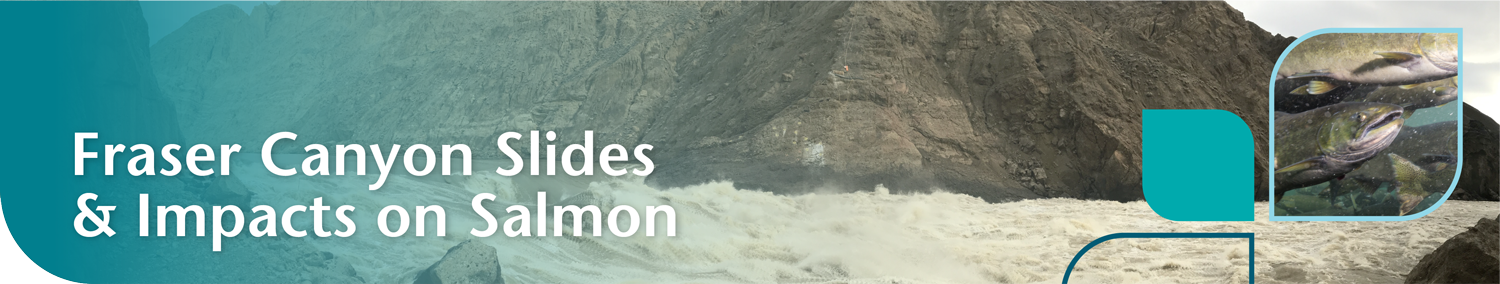 Fraser Canyon Slides & Impacts on Salmon