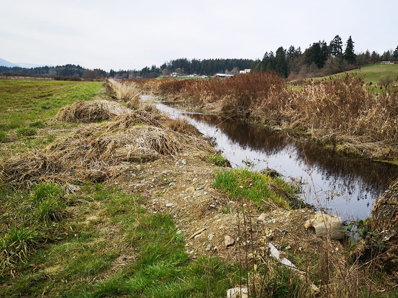 Example of stream in need of restoration (before)