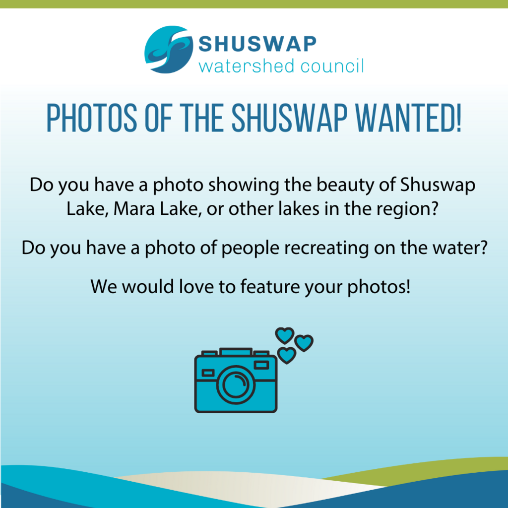 Share your pick Shuswap pics!