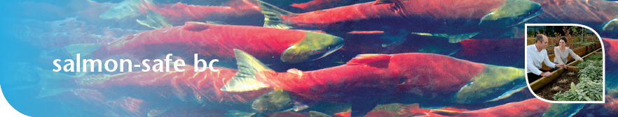 banner_salmon-safe-bc.jpg