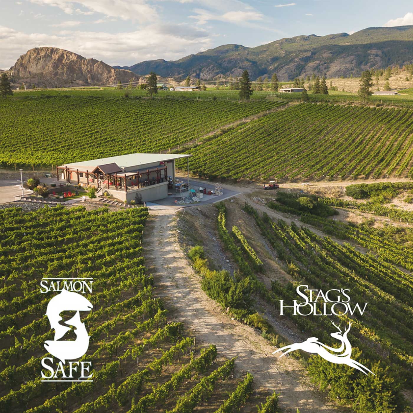 Stag's Hollow Winery
