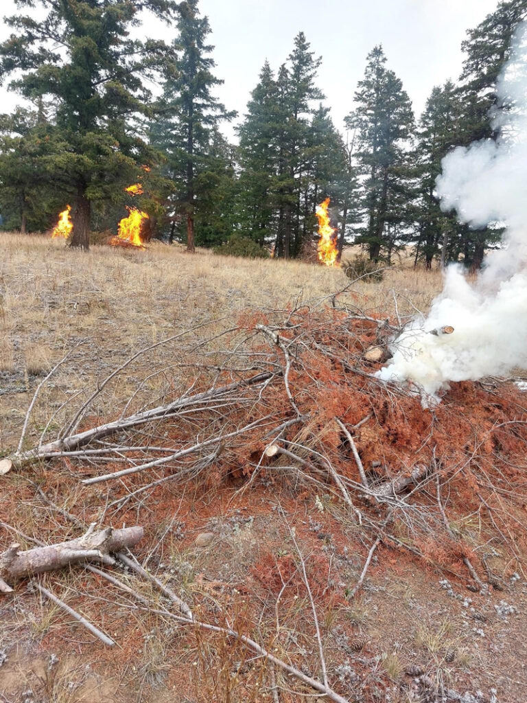 CCR_SXDLP-pile-burning-2022
